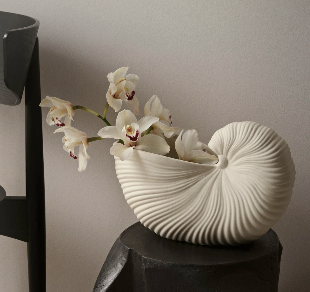 Vase Shell Pot